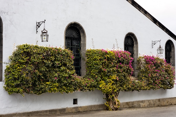 Jerez | Bodegas Fundador