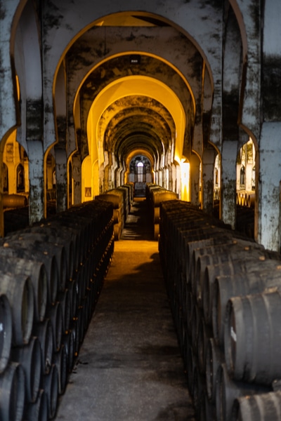 Jerez | Bodegas Fundador