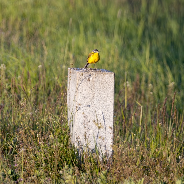 Nationalpark Unteres Odertal