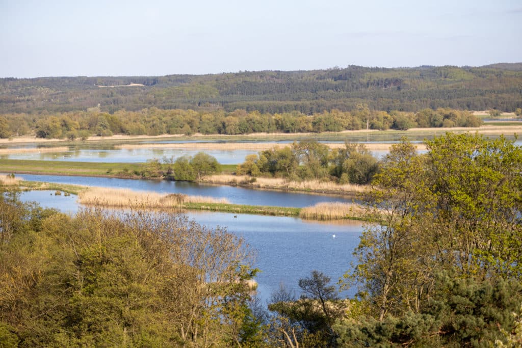 Nationalpark Unteres Odertal